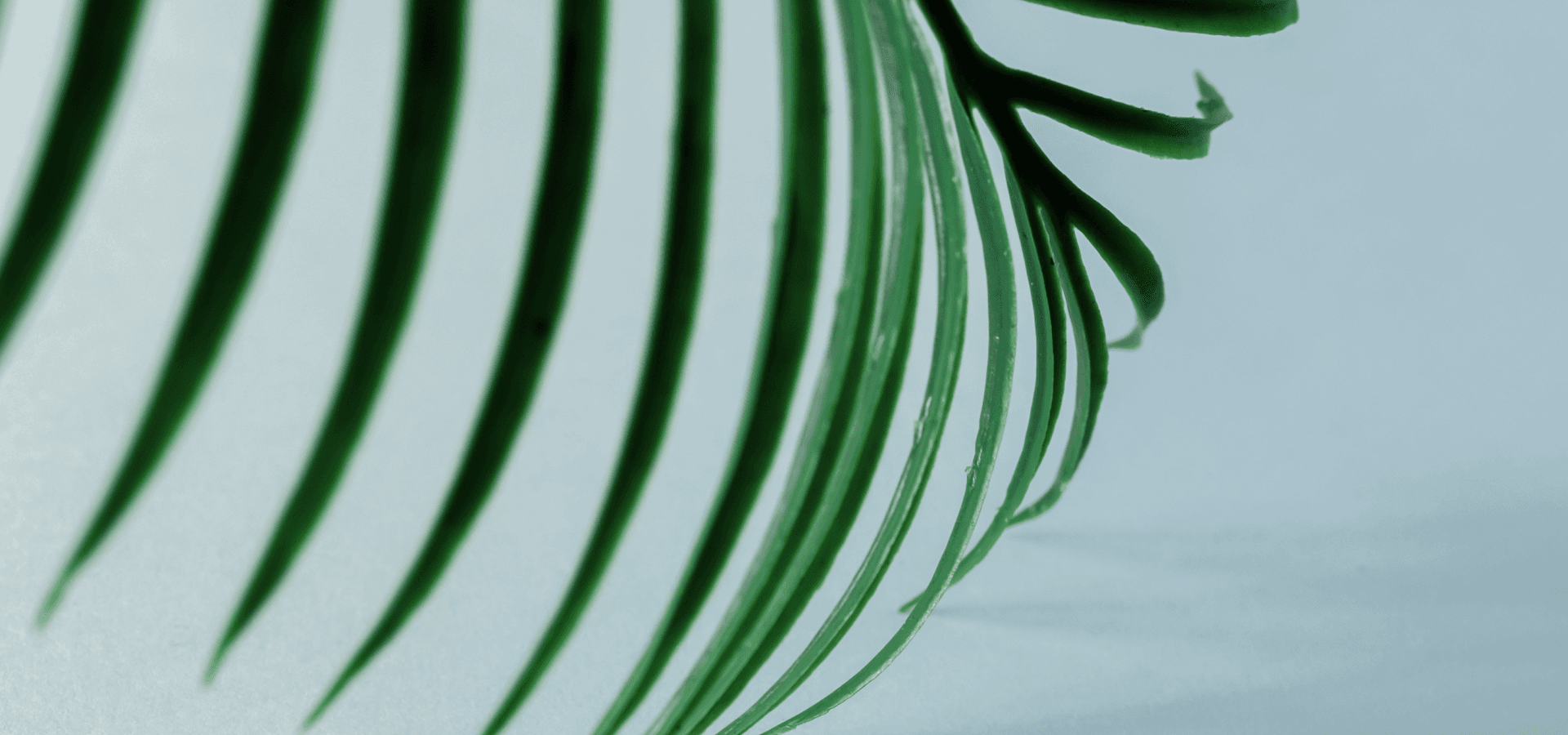 Vegan Cosmetics for Women